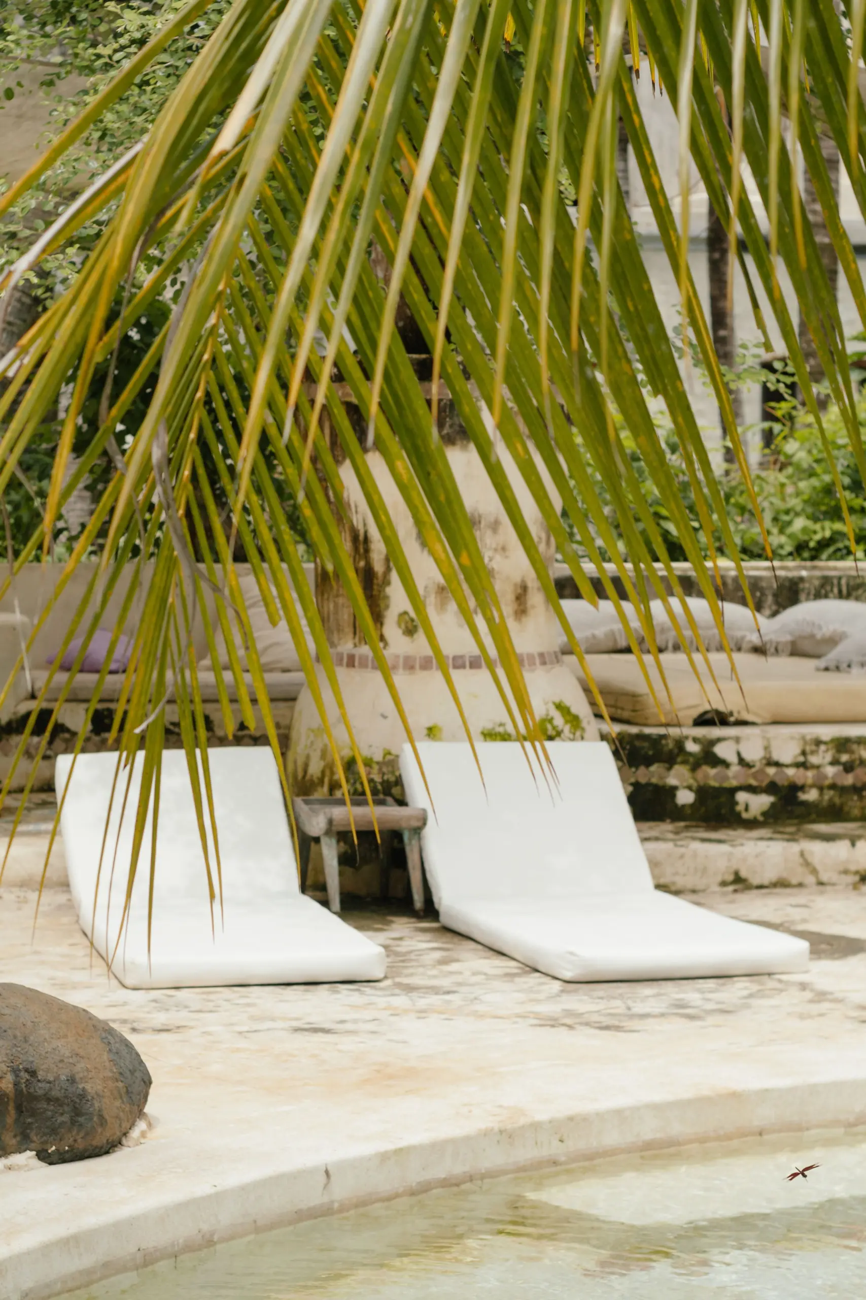 Two white-cushioned loungers beside a stone-edged pool under palm fronds